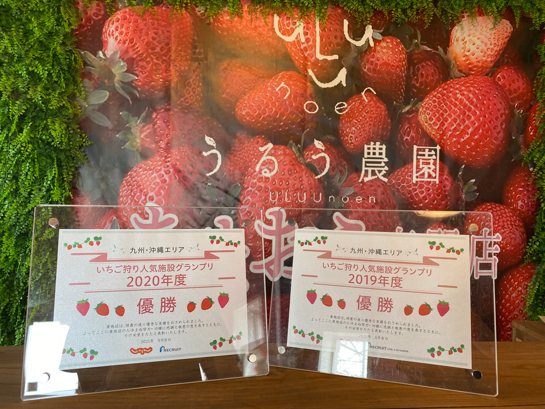 じゃらん九州人気いちご狩り施設グランプリ連覇!!