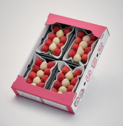 【表示価格より10%引き】うるべりー きゃんでぃーべりーMLサイズ 640g~3200g【送料無料】