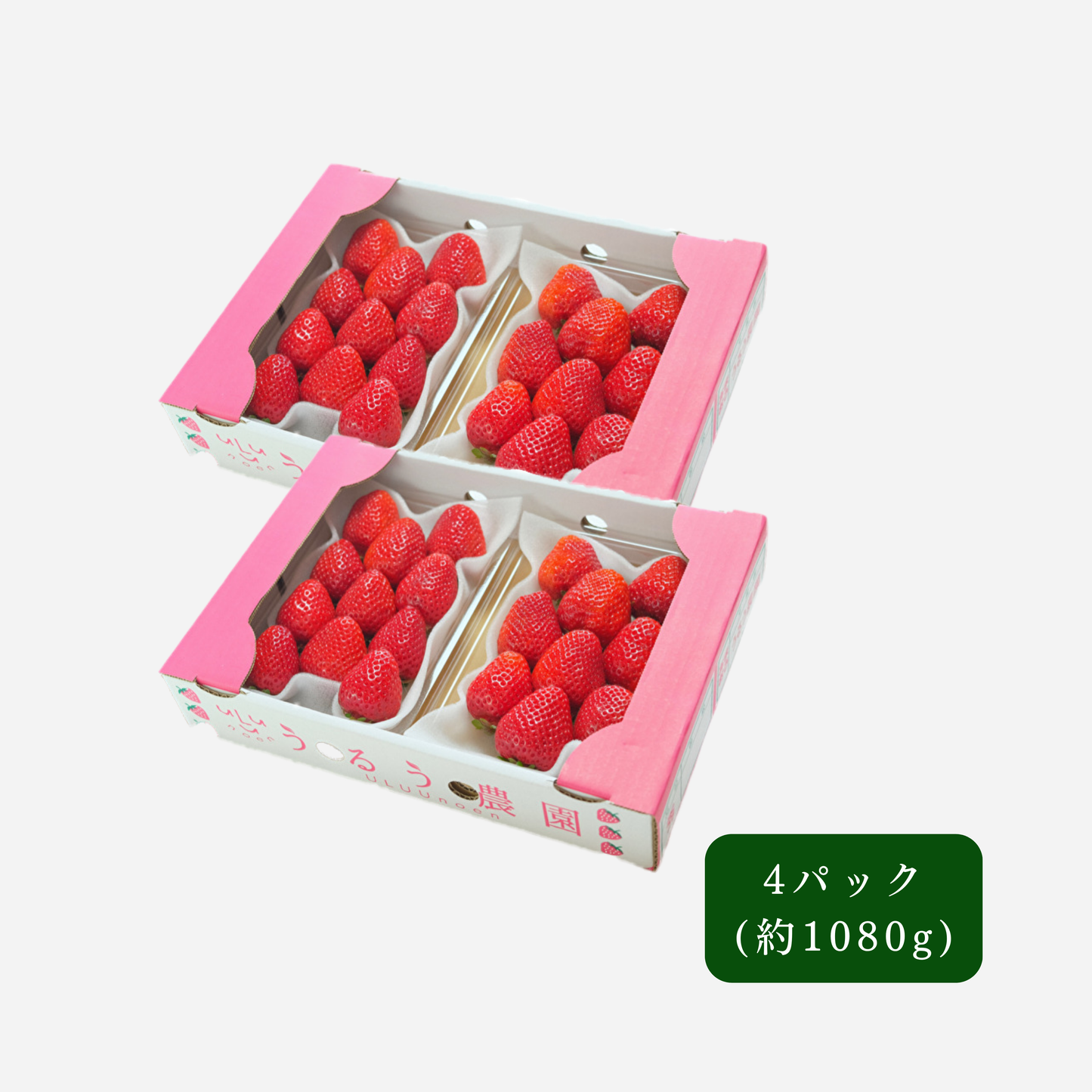 あまおう スタンダード