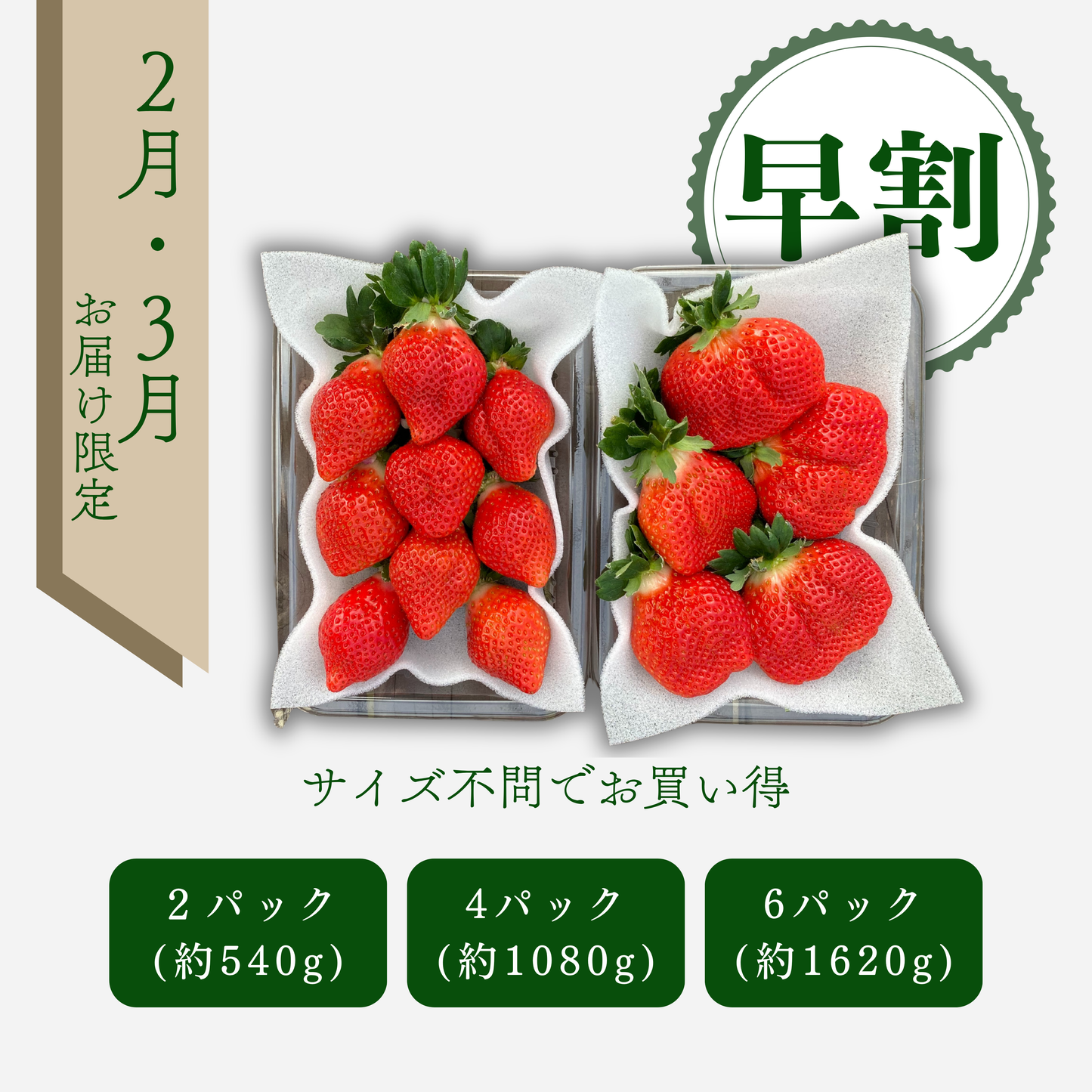 【早割】あまおう サイズ色々