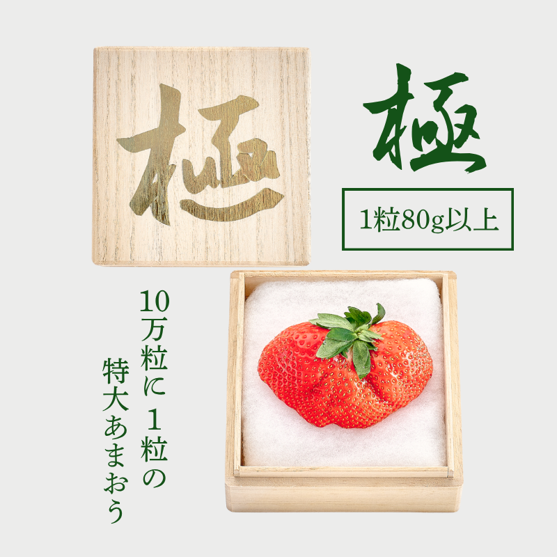 福岡県うるう農園 特大あまおう苺「極」 福岡県うるう農園 特大あまおう苺「極」