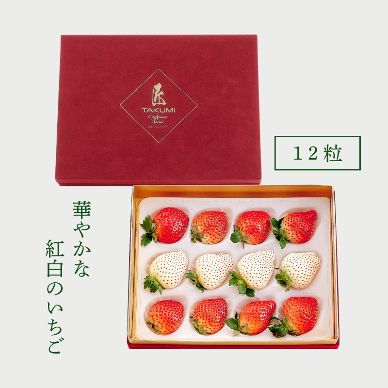 予約販売 2026年12月1日～30日 順次発送予定】プレミアム極上紅白