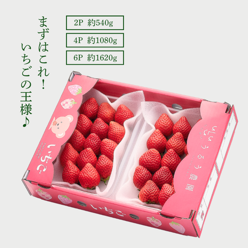 予約販売 2026年12月1日～30日 順次発送予定】あまおう スタンダード