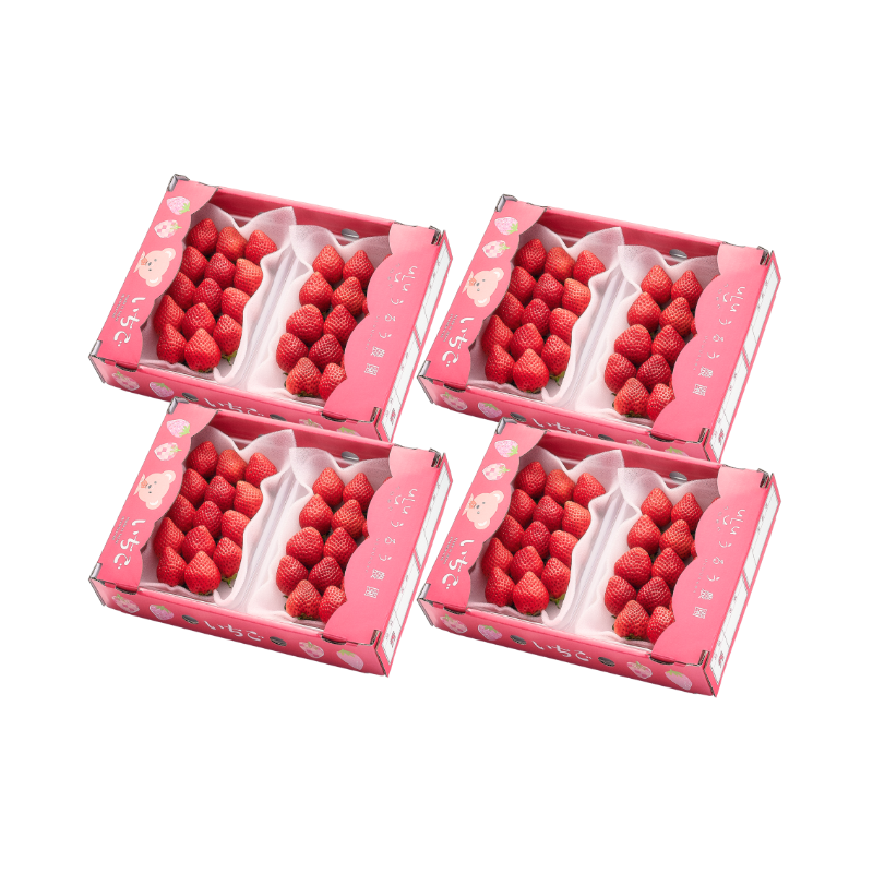 【予約販売 2026年12月1日~30日 順次発送予定】あまおう スタンダード 540g~2700g【送料無料】