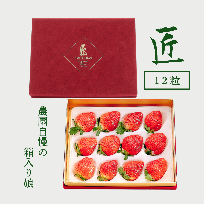 予約販売 2026年12月1日～30日 順次発送予定】極上プレミアムあまおう