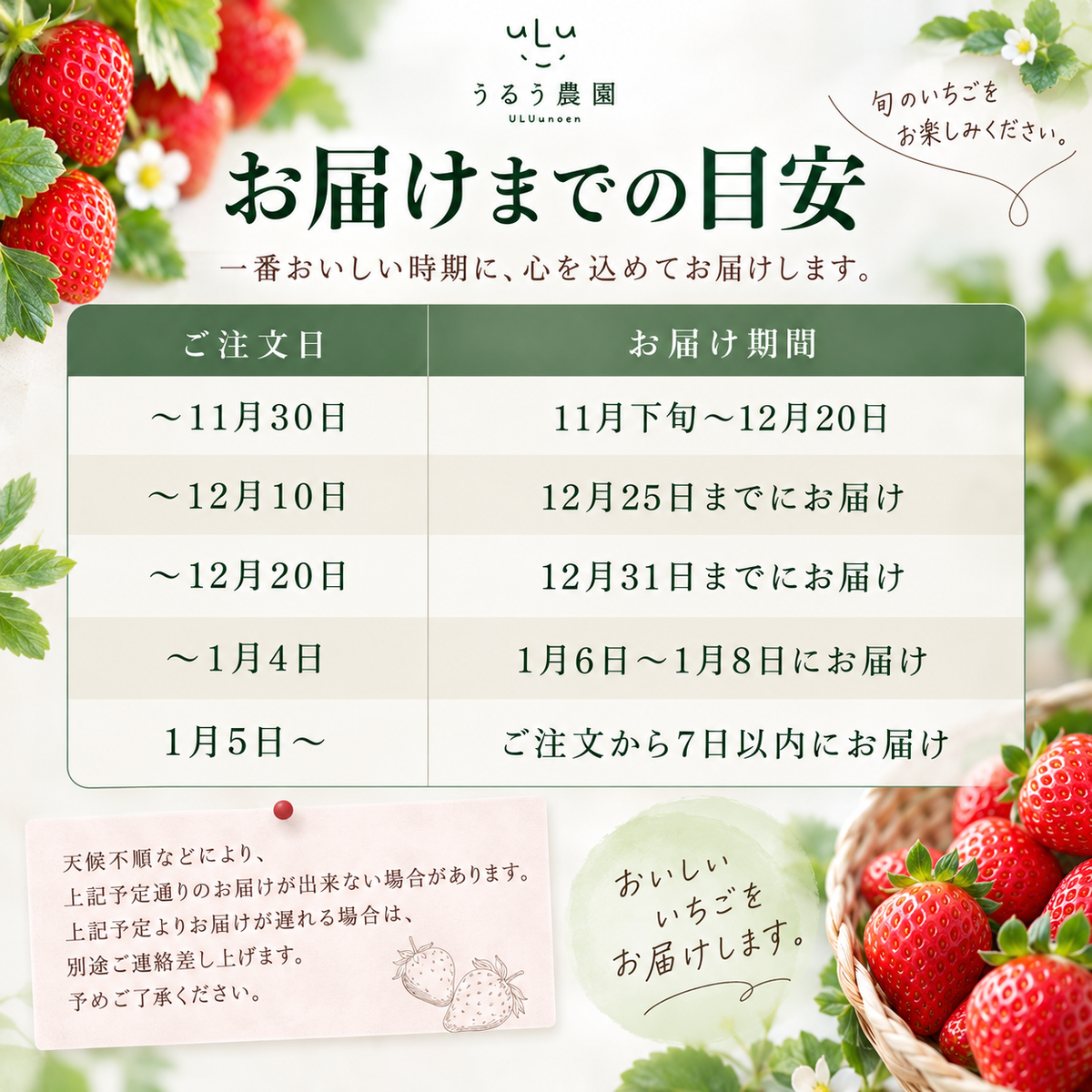 【予約販売 2026年12月1日~30日 順次発送予定】 紅白いちご 重箱1段