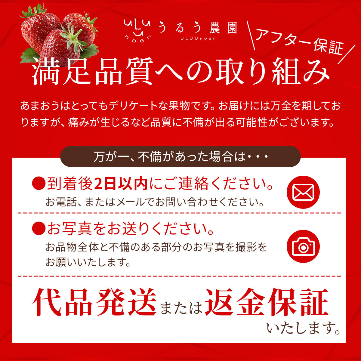 【表示価格より10%引き】【3月中旬出荷】極上プレミアムあまおう400g【送料無料】