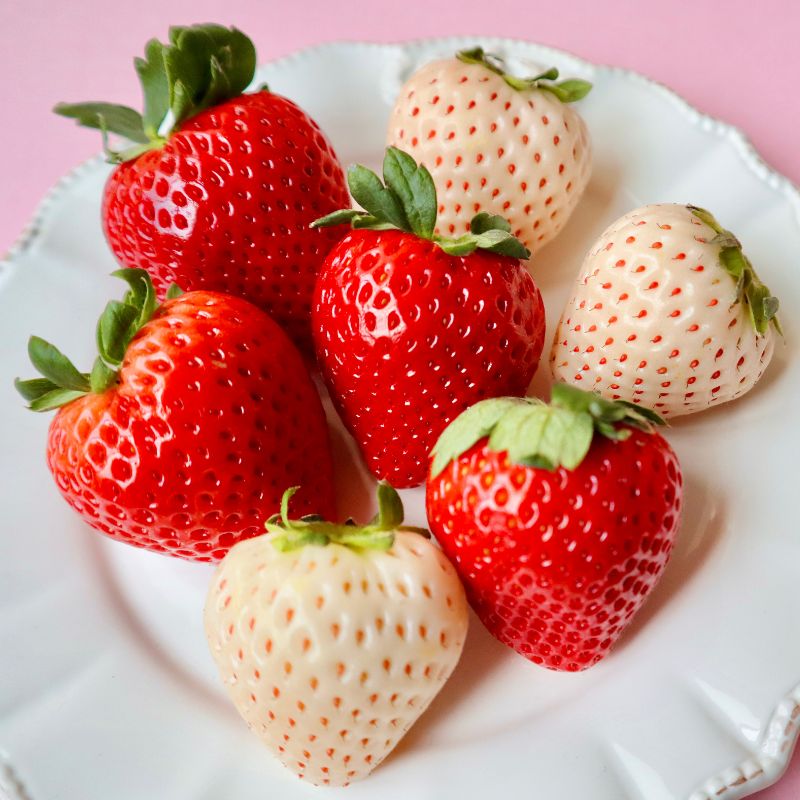 プレミアム極上紅白あまおう