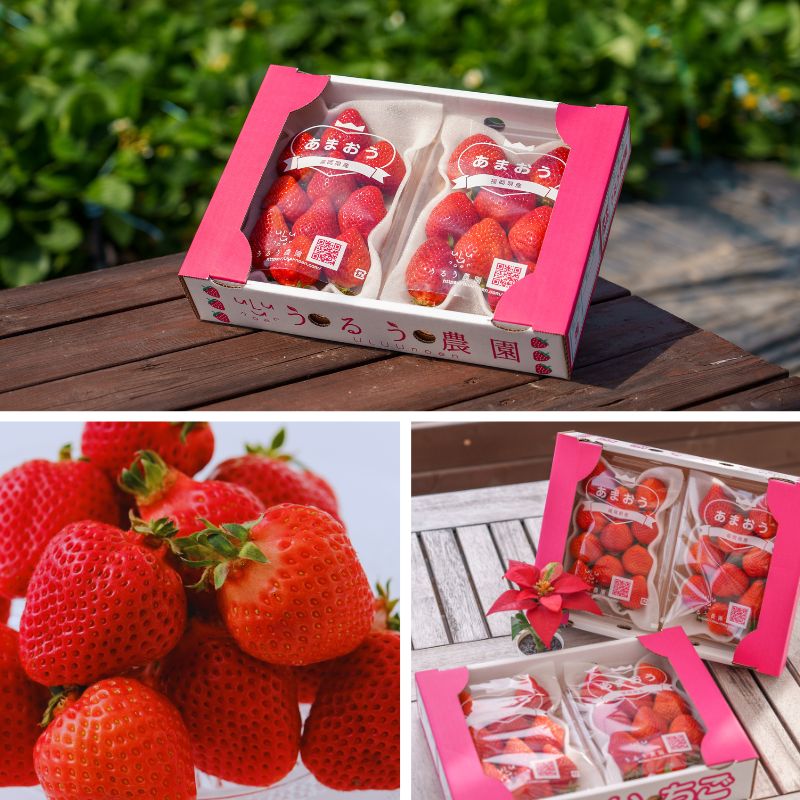 【早割】あまおう スタンダード