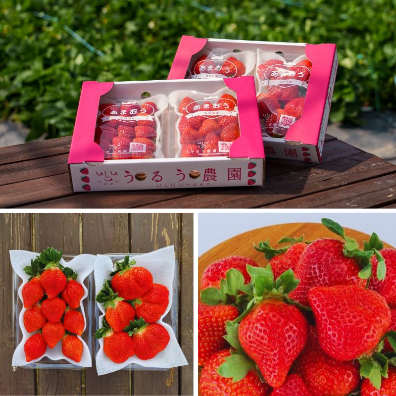 【早割】あまおう サイズ色々