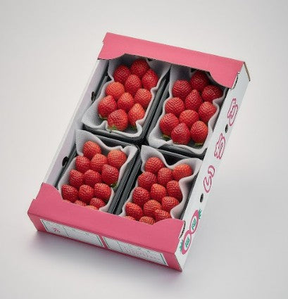 うるべりー きゃんでぃーべりーMLサイズ 640g～3200g【送料無料】