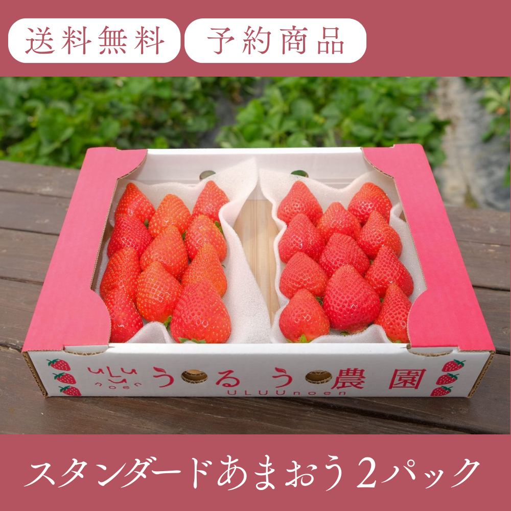 あまおう スタンダード2パック