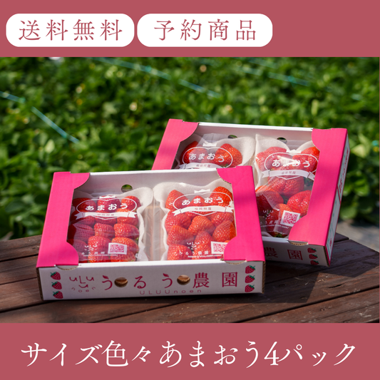 あまおう サイズ色々 4パック