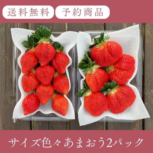 あまおう サイズ色々 2パック