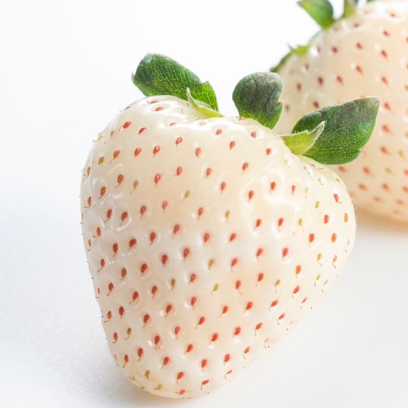 プレミアム極上紅白あまおう