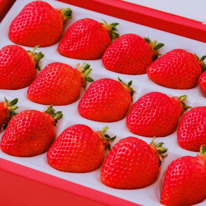 特展前400g下的礼品