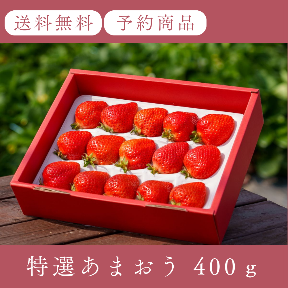 特選あまおう 400ｇ
