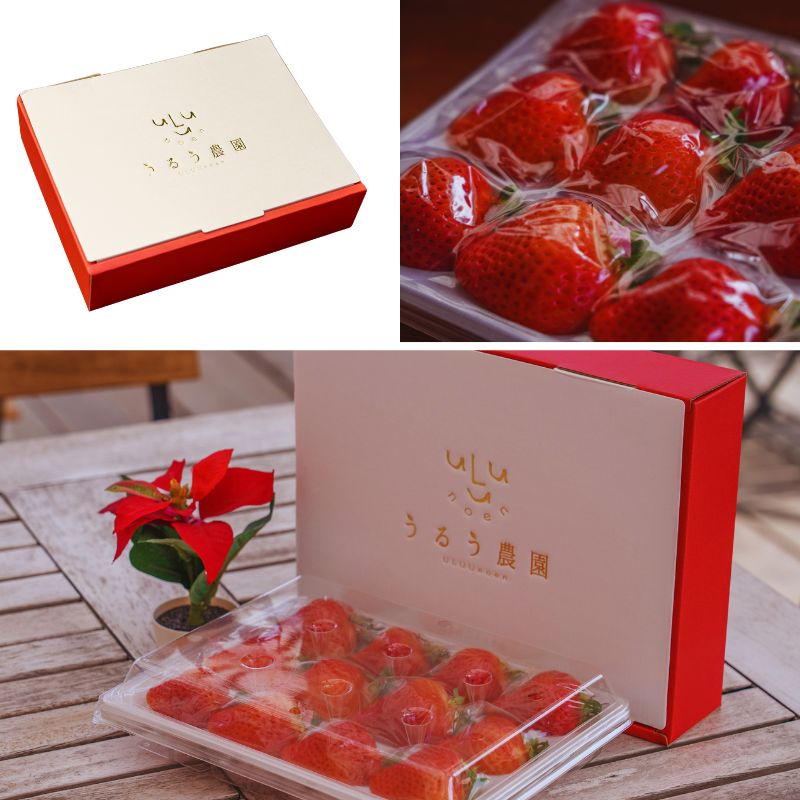 梅雨対策にピッタリ 恋ヌールW さとるちゃんセット7月12,13,14発送お休み 梅雨対策にピッタリ 恋ヌールW さとるちゃんセット7月12,13,14発送