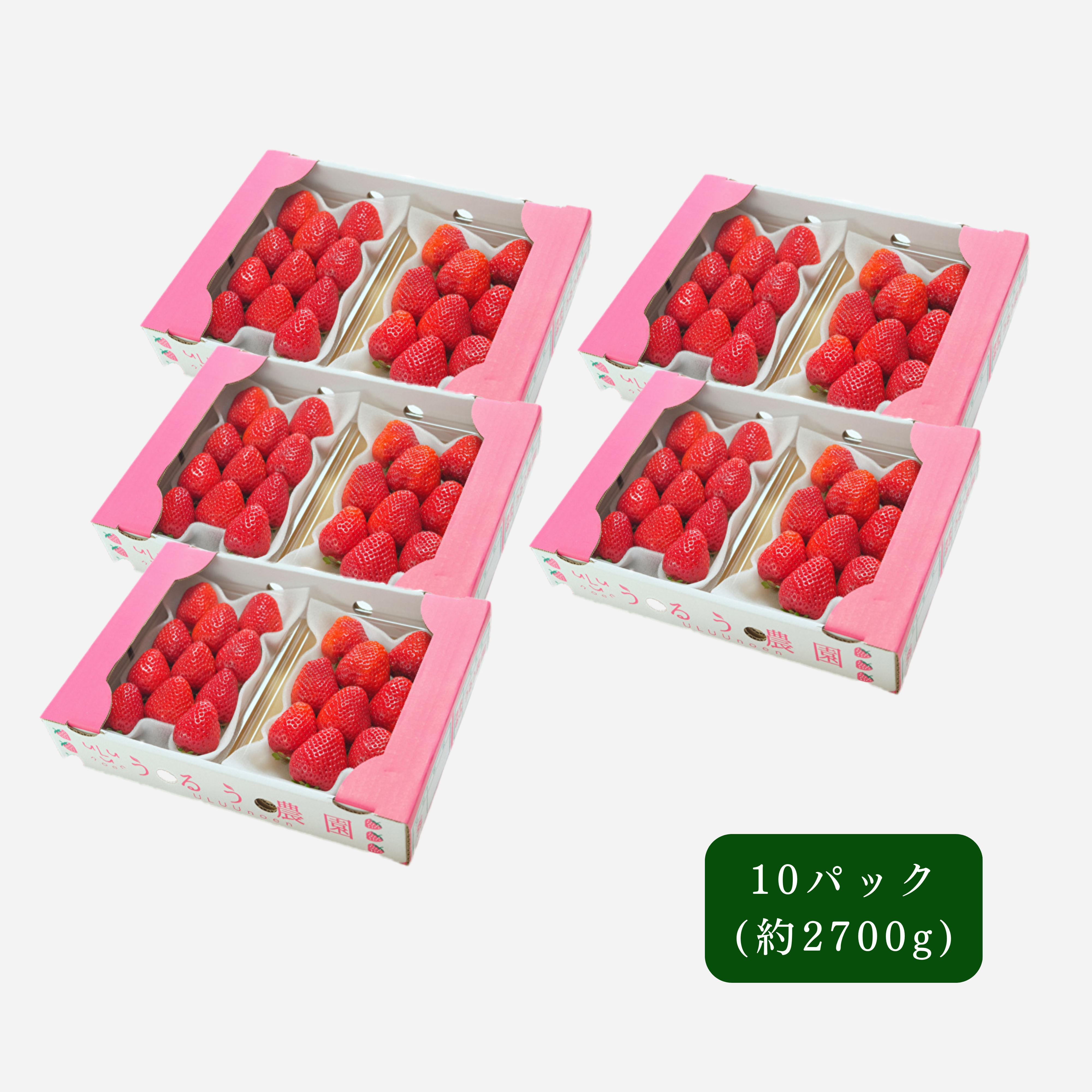 あまおう スタンダード