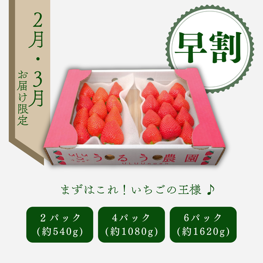 【早割】あまおう スタンダード