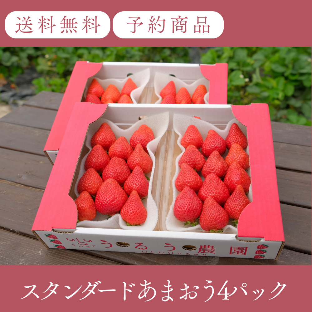 あまおう スタンダード 4パック