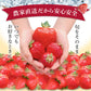 【レジにて500円引きセール実施中!!】冷凍あまおう 赤いちご 白いちご 紅白いちご 1キロ～18キロ【送料無料】