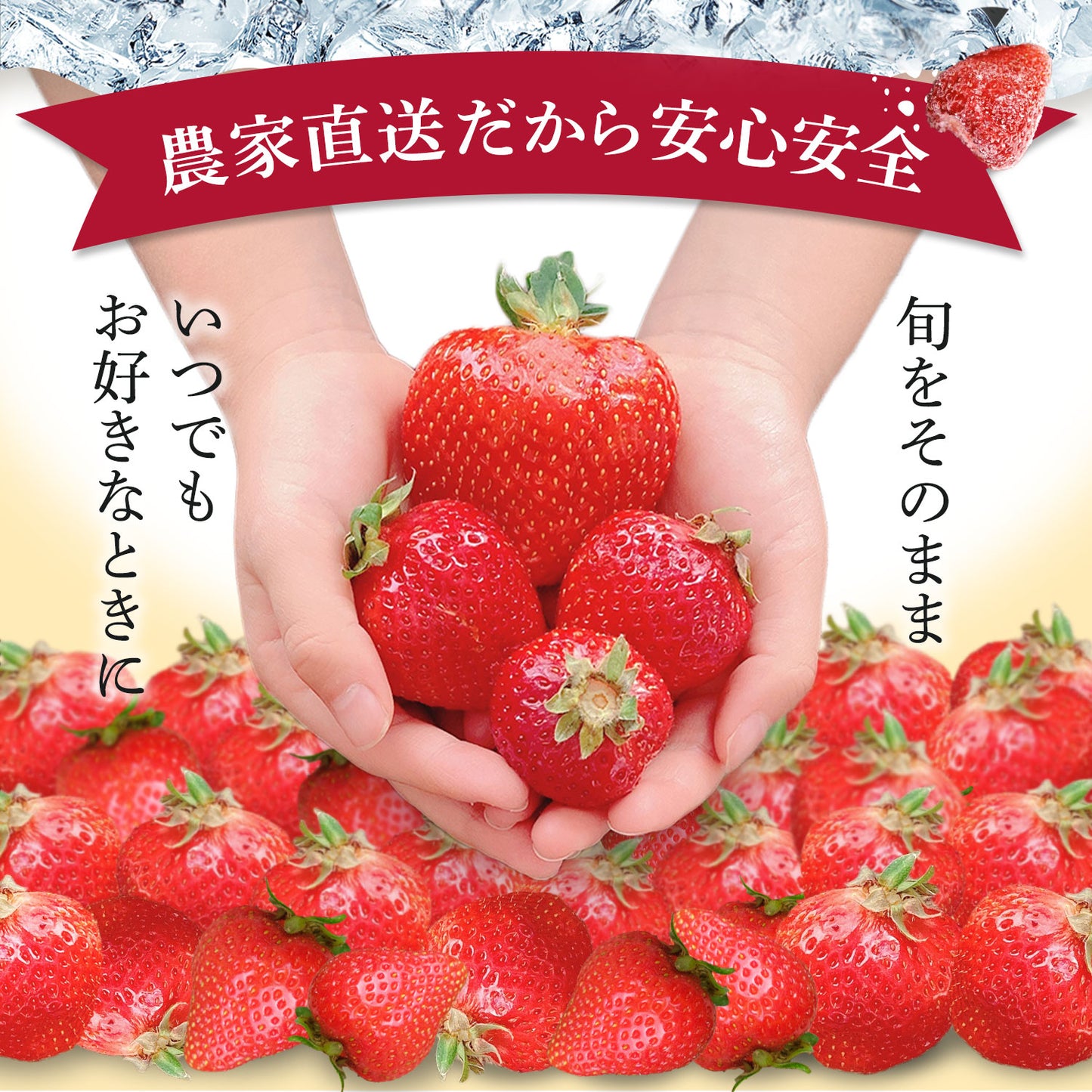 【レジにて500円引きセール実施中!!】冷凍あまおう 赤いちご 白いちご 紅白いちご 1キロ～18キロ【送料無料】