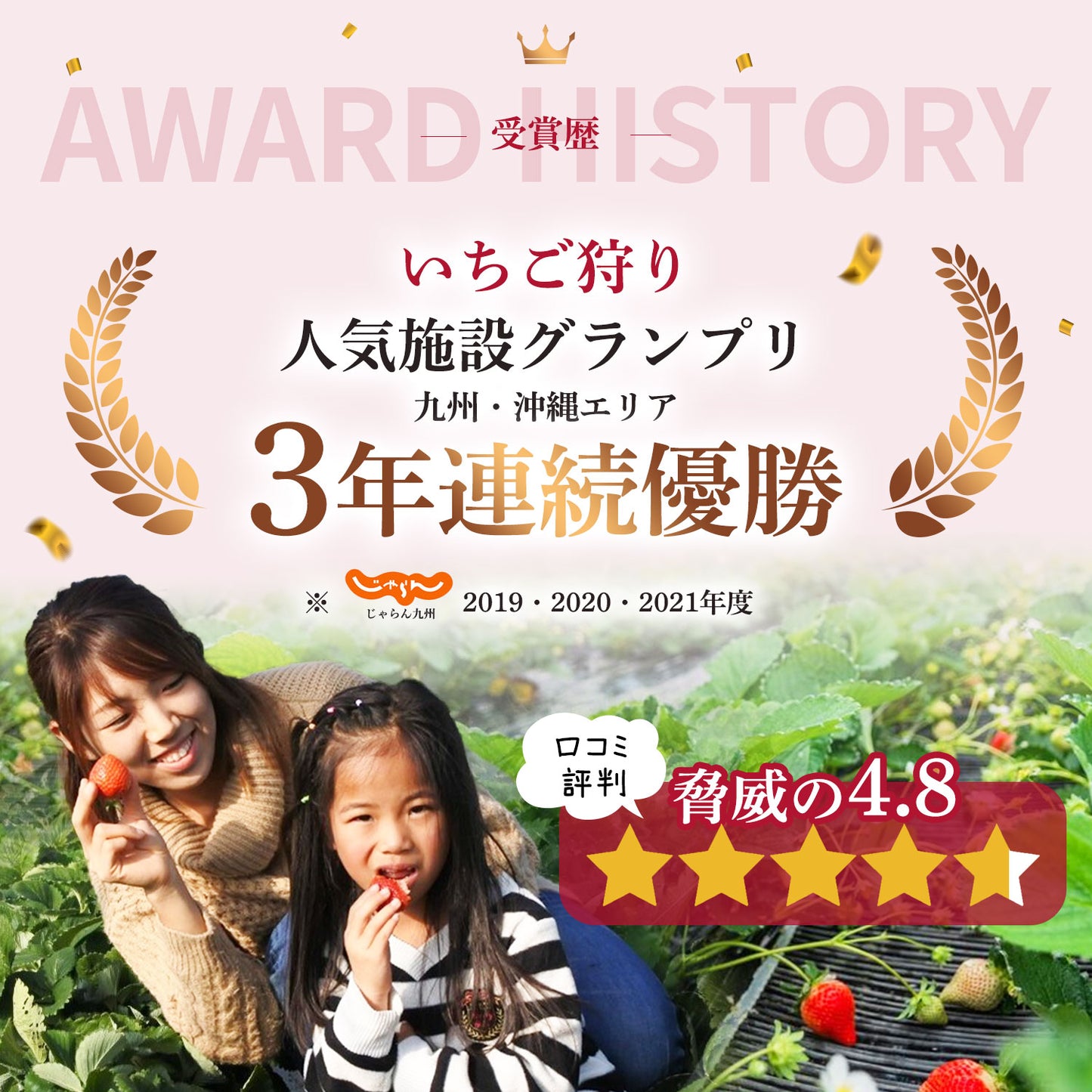 【レジにて500円引きセール実施中!!】冷凍あまおう 赤いちご 白いちご 紅白いちご 1キロ～18キロ【送料無料】