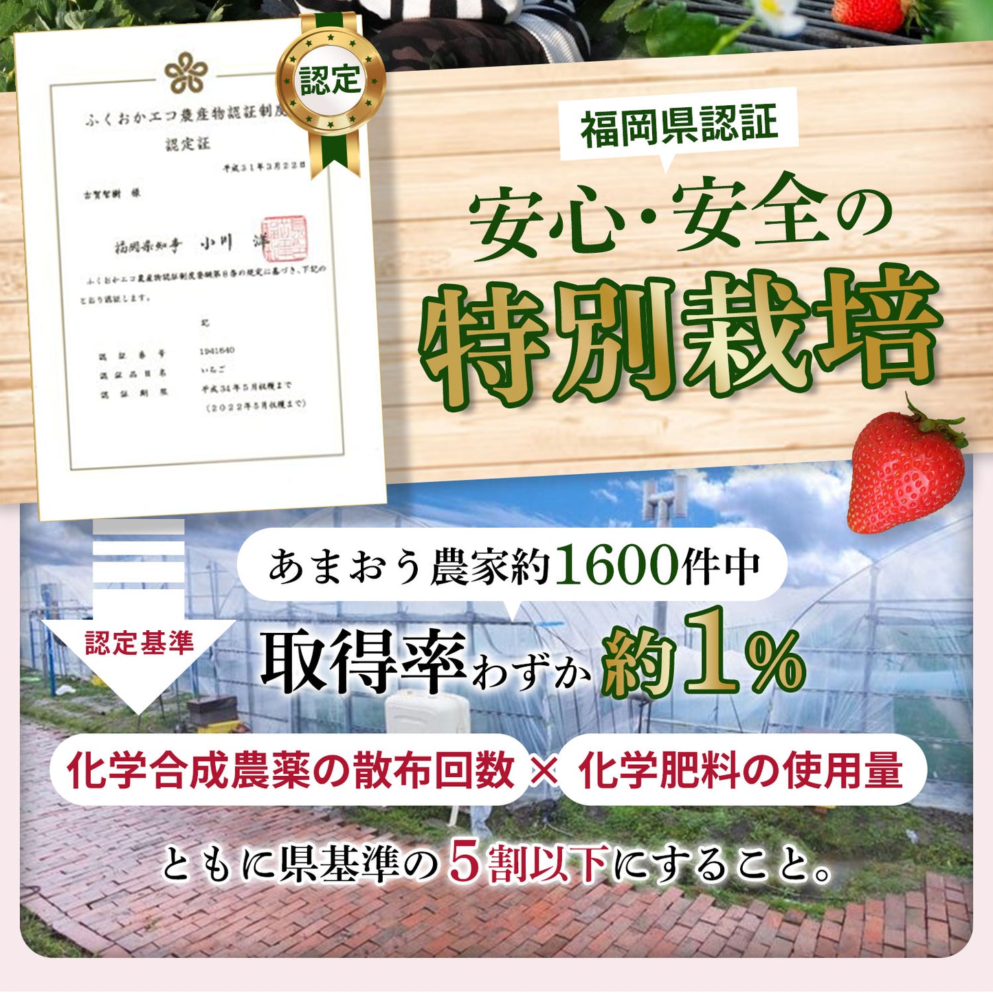 【レジにて500円引きセール実施中!!】冷凍あまおう 赤いちご 白いちご 紅白いちご 1キロ～18キロ【送料無料】