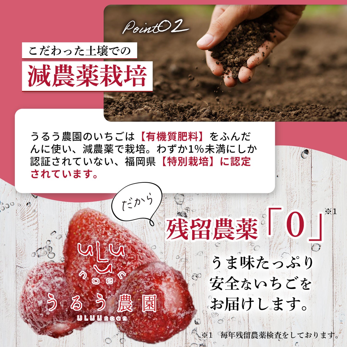 【レジにて500円引きセール実施中!!】冷凍あまおう 赤いちご 白いちご 紅白いちご 1キロ～18キロ【送料無料】