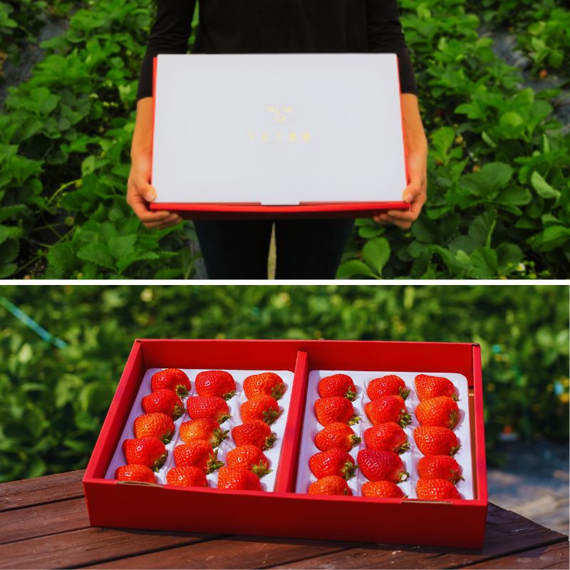 特展前400g下的礼品