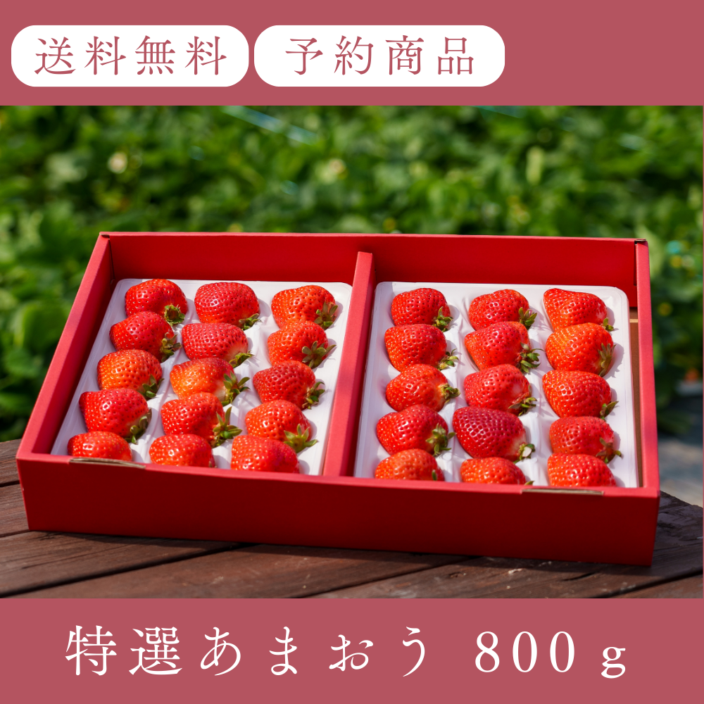 特選あまおう 800ｇ