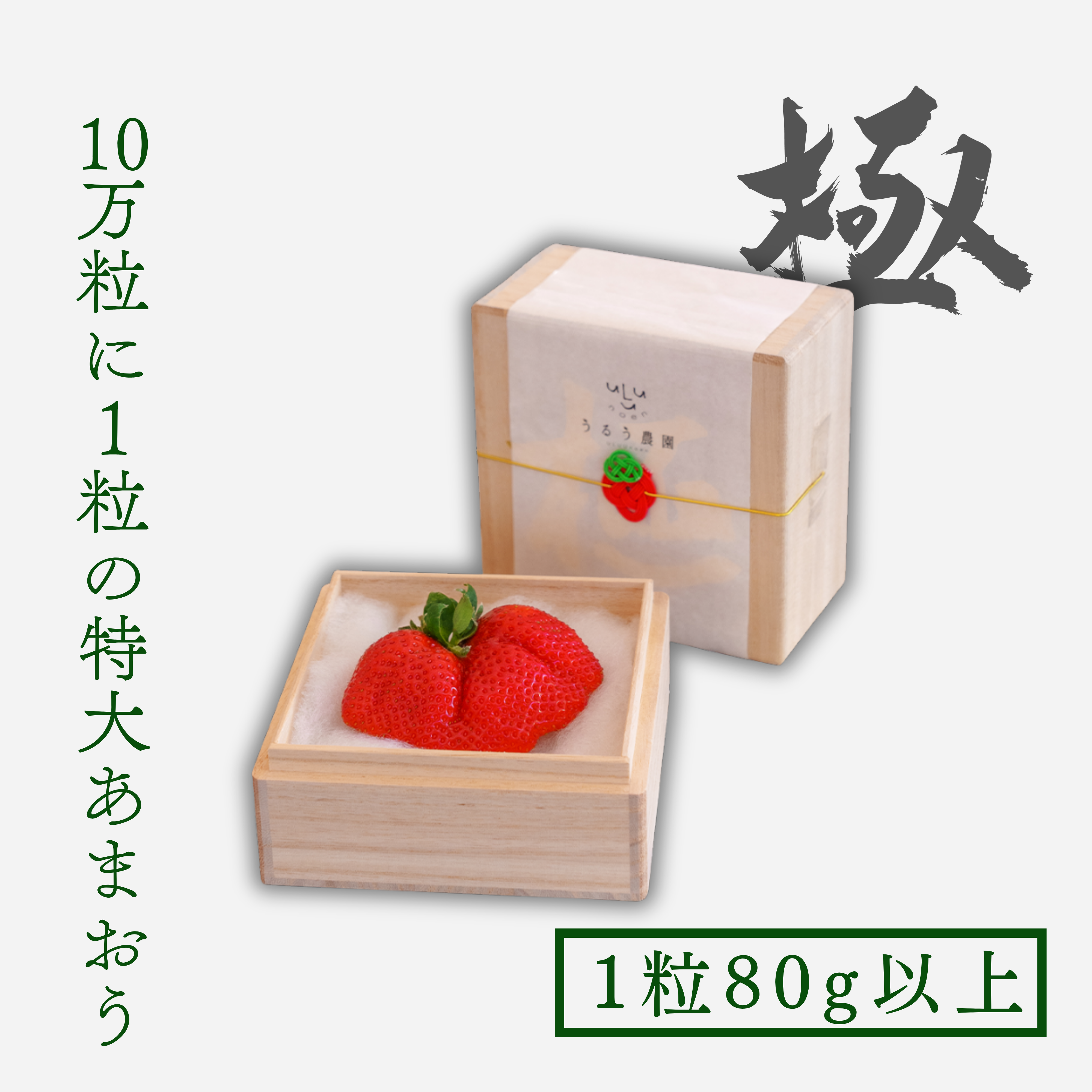 常温）八ヶ岳 完熟高級いちご 70粒x2箱　味濃いめ 輸送に強い包装 福岡県うるう農園 特大あまおう苺「極」