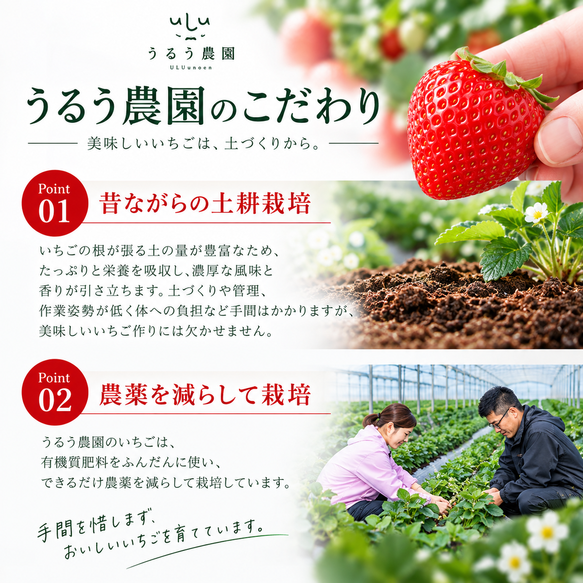 特展前400g下的礼品