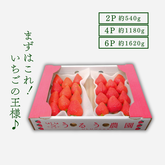 あまおう スタンダード
