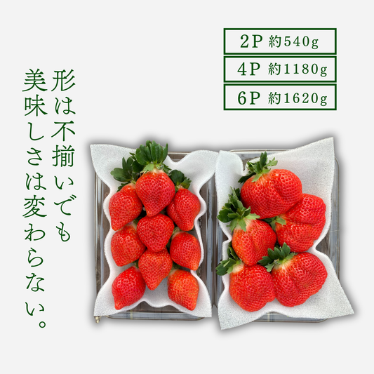 あまおう サイズ色々