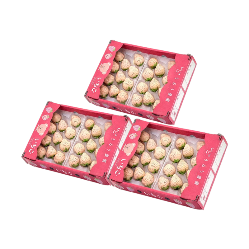 【予約販売 2026年12月1日～30日 順次発送予定】うるべりー きゃんでぃーべりー220g 440g～2200g【送料無料】