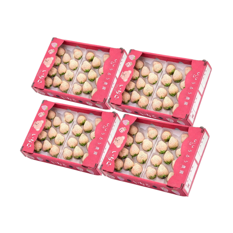 【予約販売 2026年12月1日～30日 順次発送予定】うるべりー きゃんでぃーべりー220g 440g～2200g【送料無料】