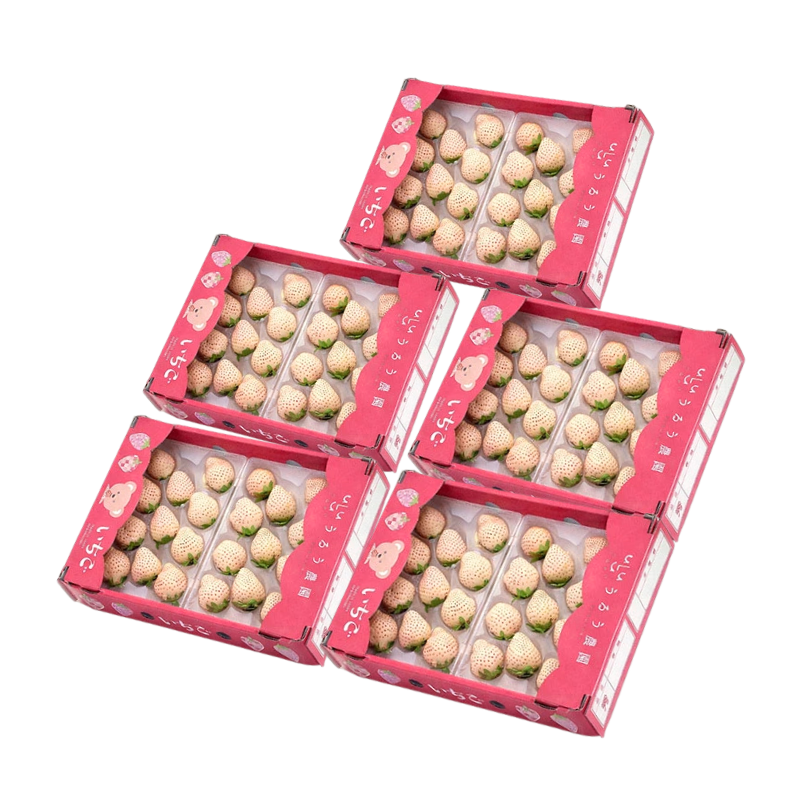 【予約販売 2026年12月1日～30日 順次発送予定】うるべりー きゃんでぃーべりー220g 440g～2200g【送料無料】