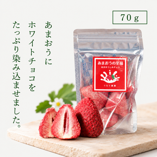あまおうしみチョコ【送料無料】