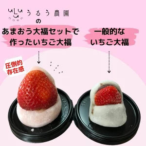 【予約販売 2026年12月1日～30日 順次発送予定】あまおう大福セット【送料無料】