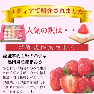 【予約販売 2026年12月1日～30日 順次発送予定】あまおう大福セット【送料無料】