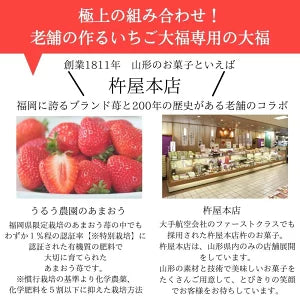 【予約販売 2026年12月1日～30日 順次発送予定】あまおう大福セット【送料無料】