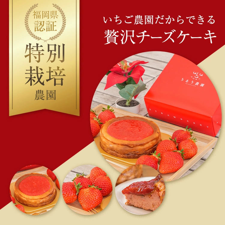 【レジにて10%引きセール実施中!!】あまおう苺の濃厚チーズケーキ【送料無料】