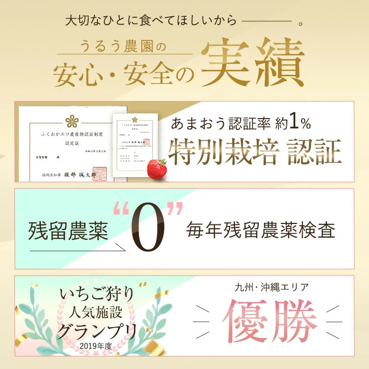 【レジにて10%引きセール実施中!!】あまおう苺の濃厚チーズケーキ【送料無料】