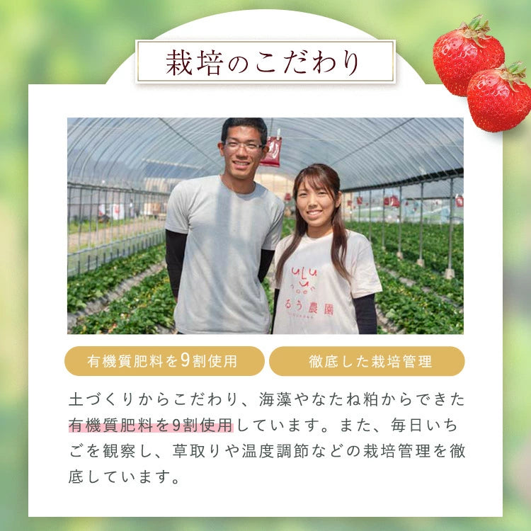 【レジにて10%引きセール実施中!!】あまおうしみチョコ【送料無料】