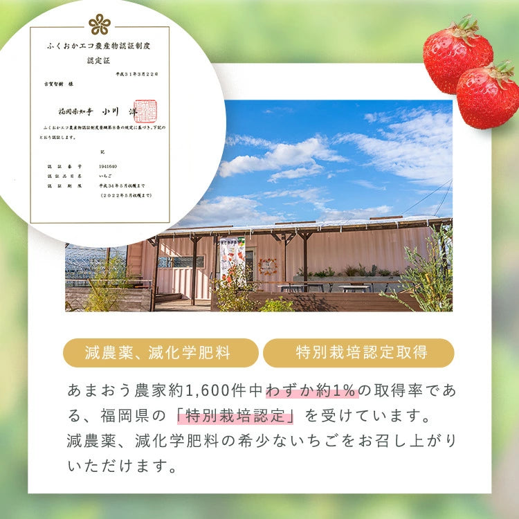 【レジにて10%引きセール実施中!!】あまおうしみチョコ【送料無料】