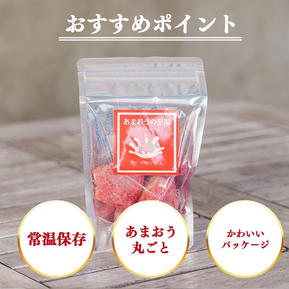 【レジにて10%引きセール実施中!!】あまおうしみチョコ【送料無料】