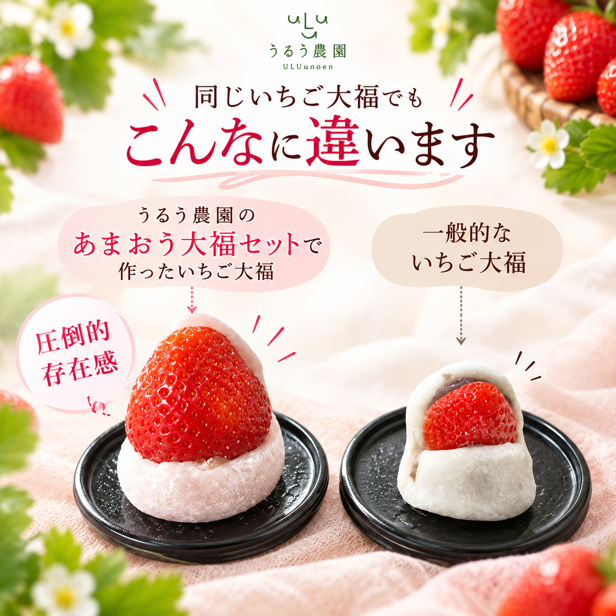 【予約販売 2026年12月1日～30日 順次発送予定】あまおう大福セット【送料無料】