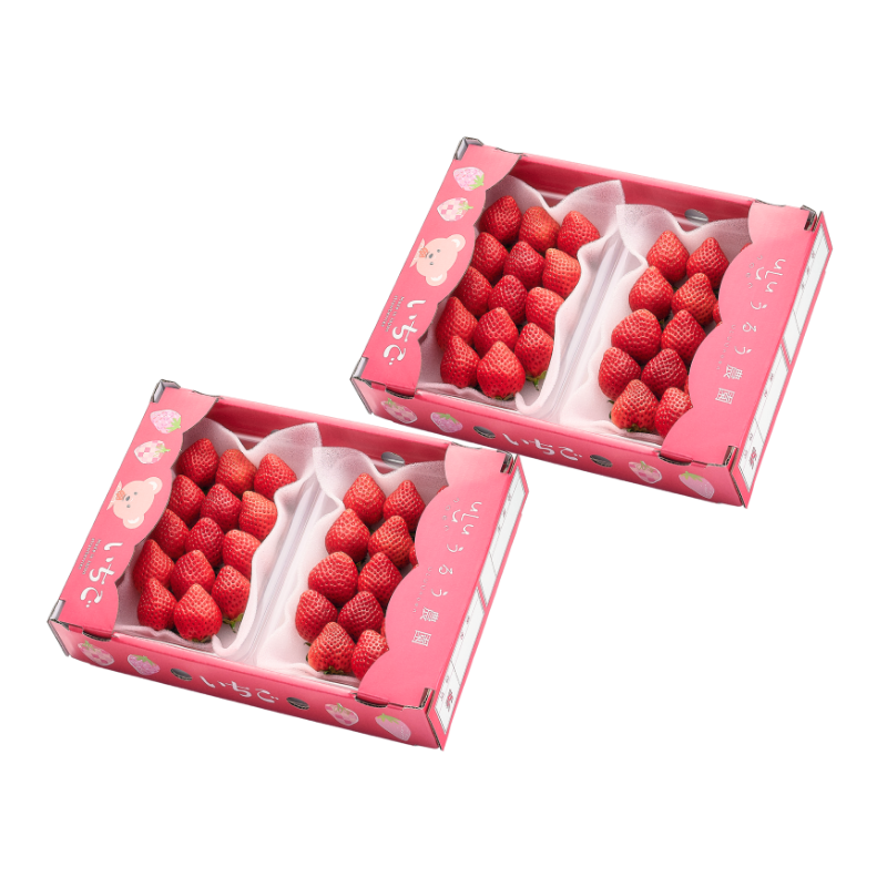 【予約販売 2026年12月1日～30日 順次発送予定】あまおう スタンダード 540g～2700g【送料無料】